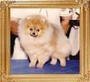 Tim_Sue_Luck_of_Texican_Ch_17910.jpg