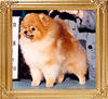 Tim_Sues_Fantastic_High_Ch_10626.jpg