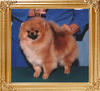 Tim_Sues_Hightailit_Ch_17898.jpg