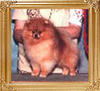 Tim_Sues_Rocky_Mt_High_Ch_17924.jpg
