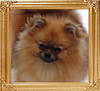 Trudys_May_I_C_U_47925.jpg