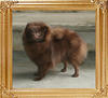 Yingyang_Ambitious_Athena_11mon_3.25lbs_47613.jpg