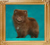 Yingyang_Chocolate_Malteser_2mo_1wk_1.98lbs.jpg.jpg