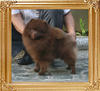 Yingyang_Mighty_Me_1yr_5mon_6.05lbs_5059_final.jpg