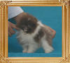 Yingyang_Shadey_Truffles_1.1lbs_2mo_3wk_P6-6_3740.jpg