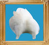 white_8x10.jpg