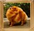 Canton_Becky_Harvey_PH_Ch._final_photo.jpg