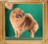 Canton_Cliff_of_Dover_9_mo_5376.jpg